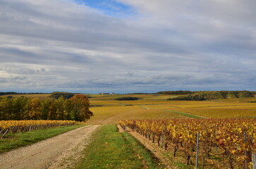 CHABLIS VIGNOBLE GRAND CRU LES CLOS