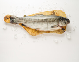 Pieces of ice are scattered on a white background. One fresh fish on a cutting board. There are no...