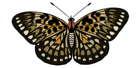 Brown spotted butterfly svg vector illustration