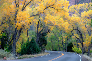 Zion Fall Colors