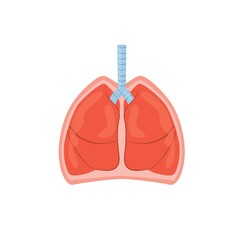 Cartoon flat person lungs isolated on empty background-health care,human anatomy internal organ diagnostics,medical treatment and therapy,educational material concept,web site banner ad design