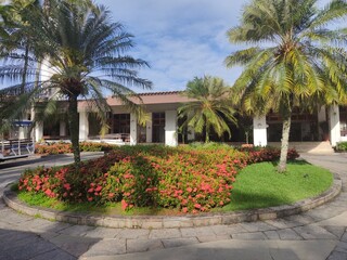 Fototapeta premium Jardim de frente