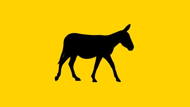 Silhouette of the walking donkey, animation on the yellow background