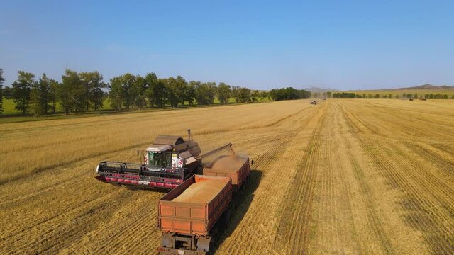 Aerial view Harvester on wheat field.