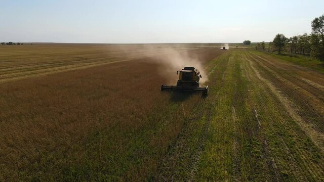 Aerial view Harvester on wheat field.