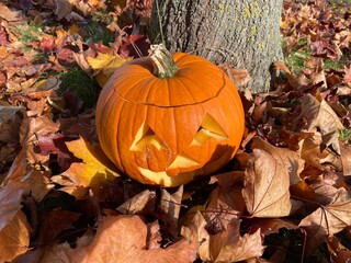 Halloween pumpkin in autumn