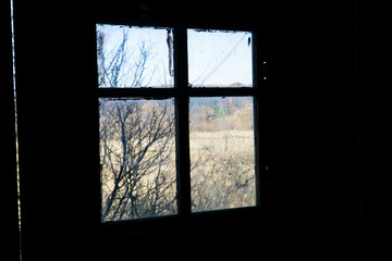inside the old house. old window. forest view