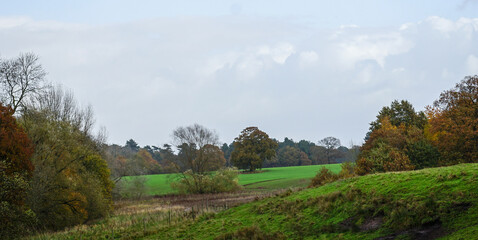 Autumn walk in Tatton Park
