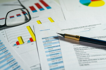 Naklejka na ściany i meble Financial analysis - income statement, business plan and balance the investment portfolio