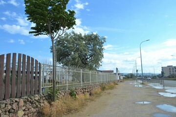 bridge in the city