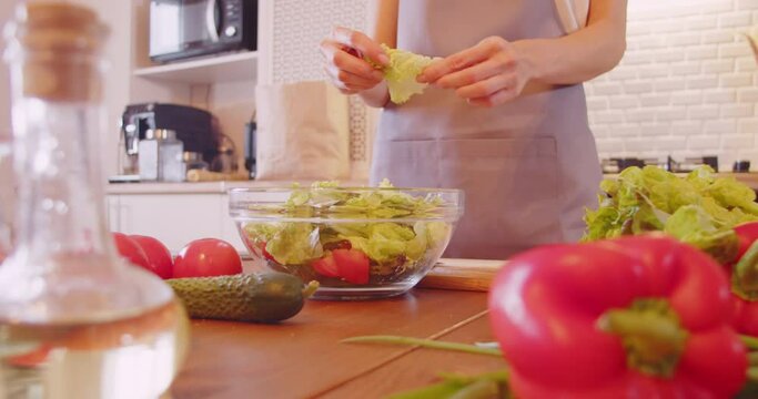 Young woman make fresh vegetable salad in modern cozy kitchen interior, prepare healthy meal