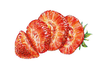 Red ripe strawberries isolated on a white background. Watercolor drawing handwork.