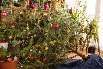 Weihnachtsbaum kippt um - Missgeschick