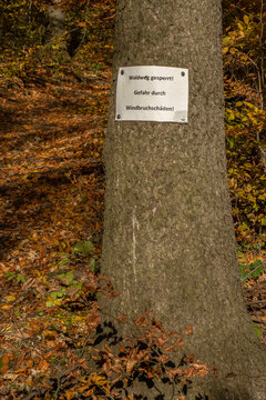 Borkenk&auml;fersch&auml;den im Wald- Wegesperrung