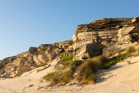 Cliffs above a sandy beach with layered rocks, two seagulls perched at the top. 