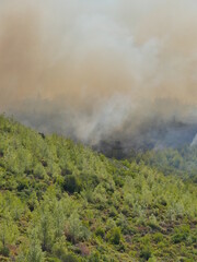 forest fire in turkey