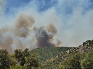 forest fire in turkey