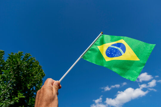 hand with small brazil flag. translation: order and progress