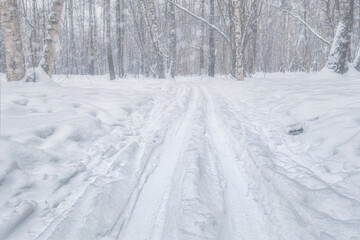 winter background ski track in forest park, winter fitness concept