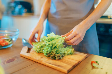 Young woman cutting fresh vegetable salad in modern cozy kitchen interior, prepare healthy meal