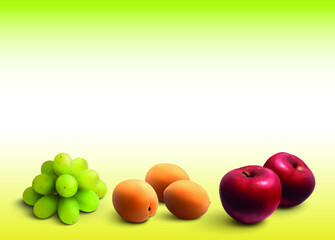 fruits and vegetables premium realistic vectors
