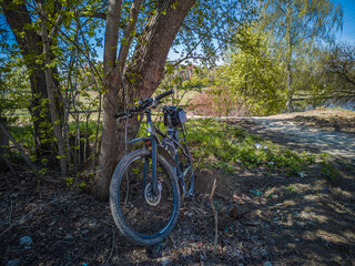 Fototapeta na wymiar bike in the forest