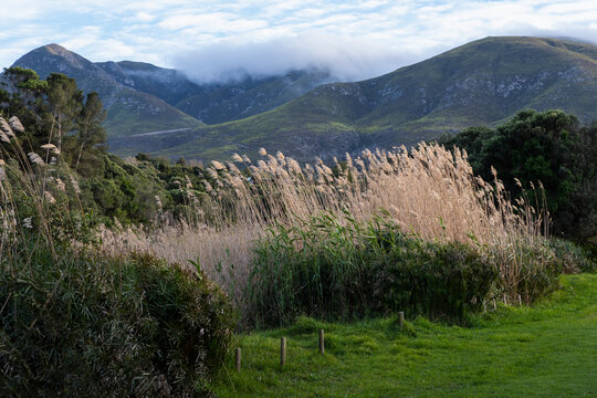 Landscape in a flat plain and view to the Klein mountains,