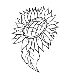 Vector children's design for postcard banners.Funny black and white sunflowers