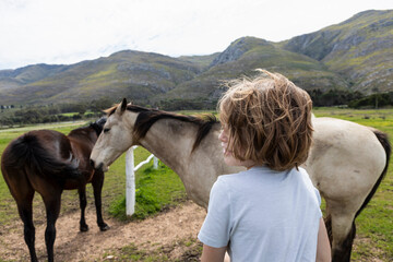 Eight year old boy leaning on a fence, looking at two horses in a field