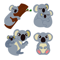 Adorable gray koala in various poses. One sleeping on tree a couple of koalas hugging mother koala with baby and cute sitting koala. Image isolated on white background. Vector illustration. Design © Irina