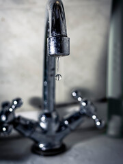 macro shooting stacking photo