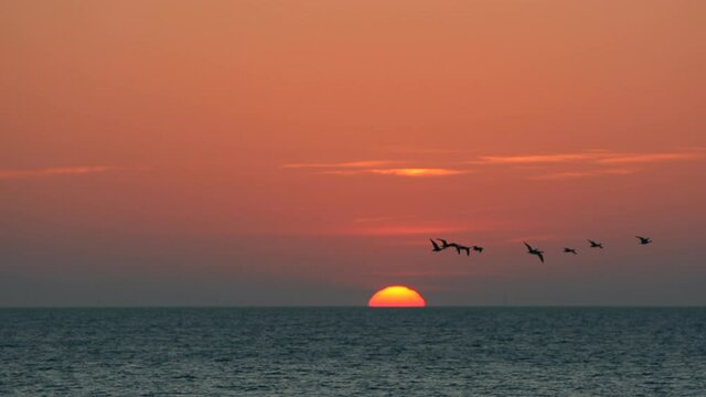 G&auml;nse fliegen durch den Sonnenaufgang im Wattenmeer