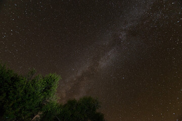 Night sky in the Big Bend National Park