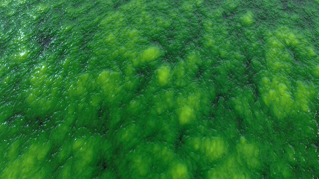 Abstract organic wet slime, biological matter background. Seething flesh slush like backdrop