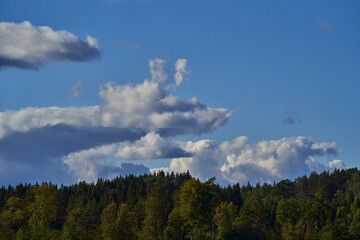 a blue sky background with an animal cloud