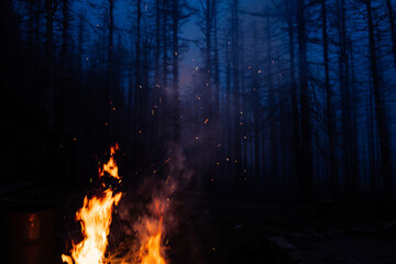 Lagerfeuer Romantik im dunklen Wald