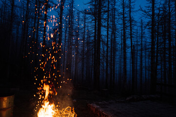 Feuer im dunklen Wald