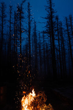 Hochformat Lagerfeuer mit Funken im Wald