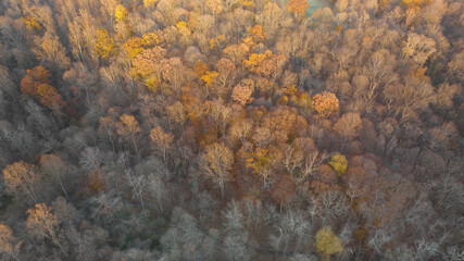 Fall foliage autumn leaves color - aerial