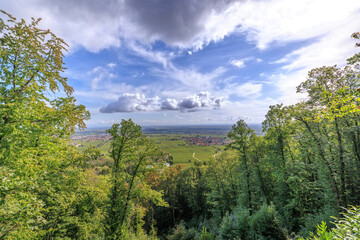 Panoramablick auf Edenkoben in der Pfalz