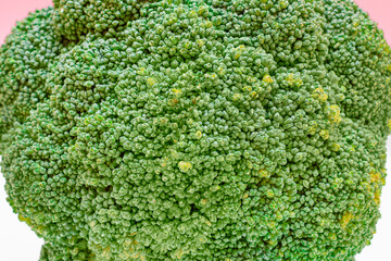 Macro Shot of Fresh and Raw Broccoli - Close-Up. Uncooked Green Cabbage. Vegan and Vegetarian Culture. Raw Food. Healthy Eating and Vegetable Diet