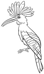 cartoon hoopoe bird animal character coloring book page © Igor Zakowski