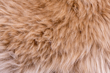 Trendy brown artificial fur texture. Fur pattern top view. Brown fur background. Texture of beige...