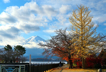 Mt.Fuji and autumn leaves