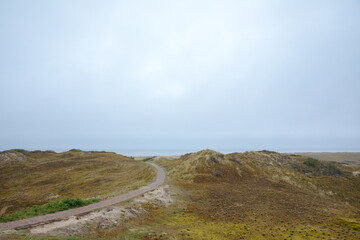 Path made of wooden slats between the dunes on the North Sea. Beach on the North Sea. Vacation in Germany. Beach wedding	