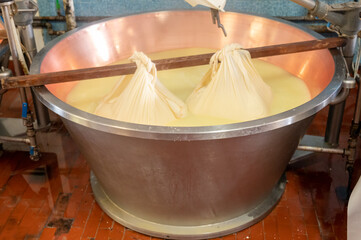 Process of making wheels of parmigiano-reggiano parmesan cheese on small cheese farm in Parma, Italy, copper-lined vats with curd