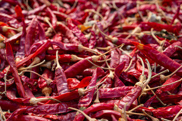 Fototapeta premium Food background with dried red hot chili peppers