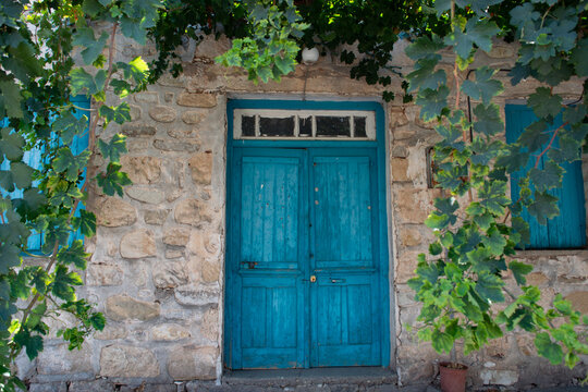 Old blue wooden door in small cypriot village and grape plant
