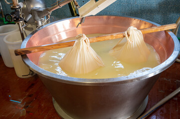 Process of making wheels of parmigiano-reggiano parmesan cheese on small cheese farm in Parma, Italy