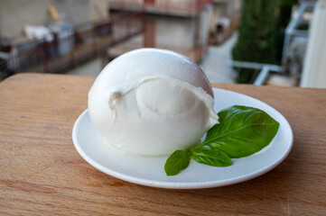 White ball of Italian soft cheese Mozzarella di Bufala Campana and fresh green basil